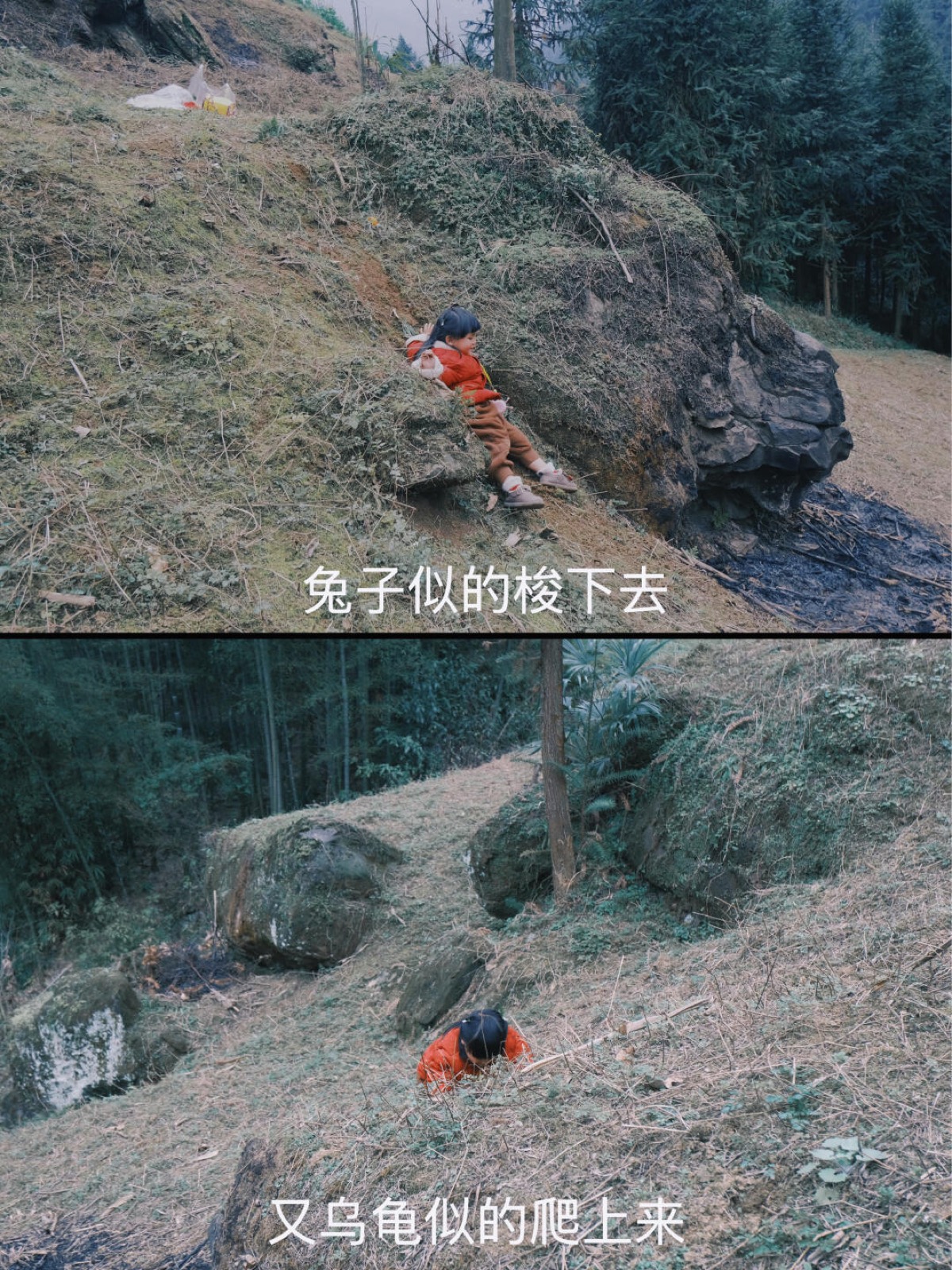 🆘绝了，从没吃过这么黑黢喷香的大洋芋😂 图4