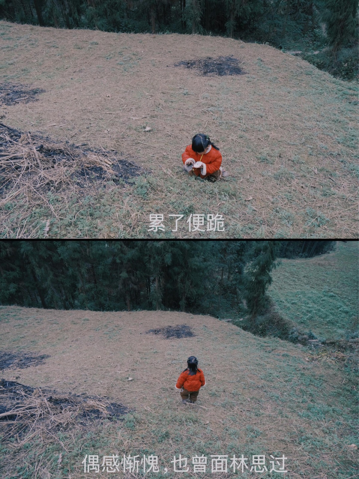 🆘绝了，从没吃过这么黑黢喷香的大洋芋😂 图5