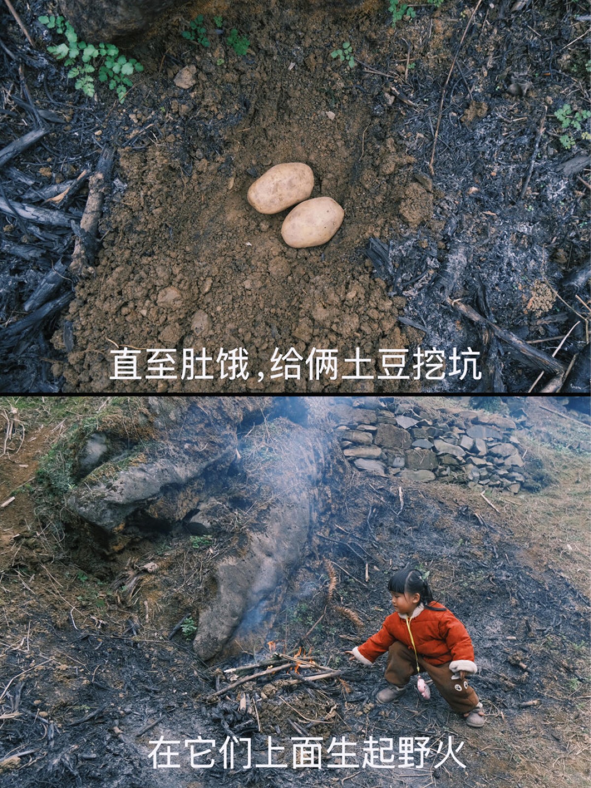 🆘绝了，从没吃过这么黑黢喷香的大洋芋😂 图6
