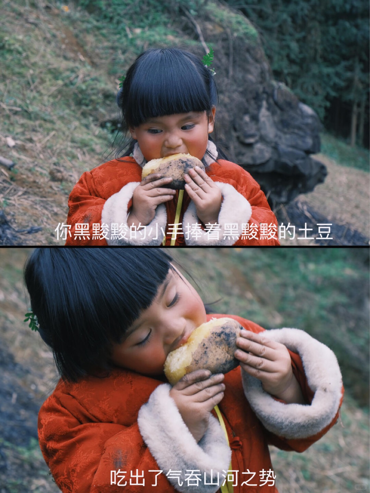 🆘绝了，从没吃过这么黑黢喷香的大洋芋😂 图10