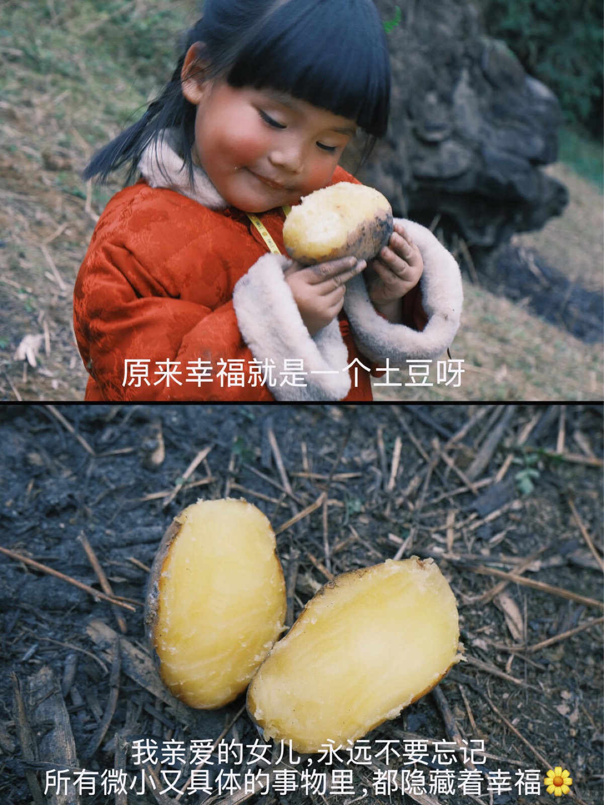 🆘绝了，从没吃过这么黑黢喷香的大洋芋😂 图11
