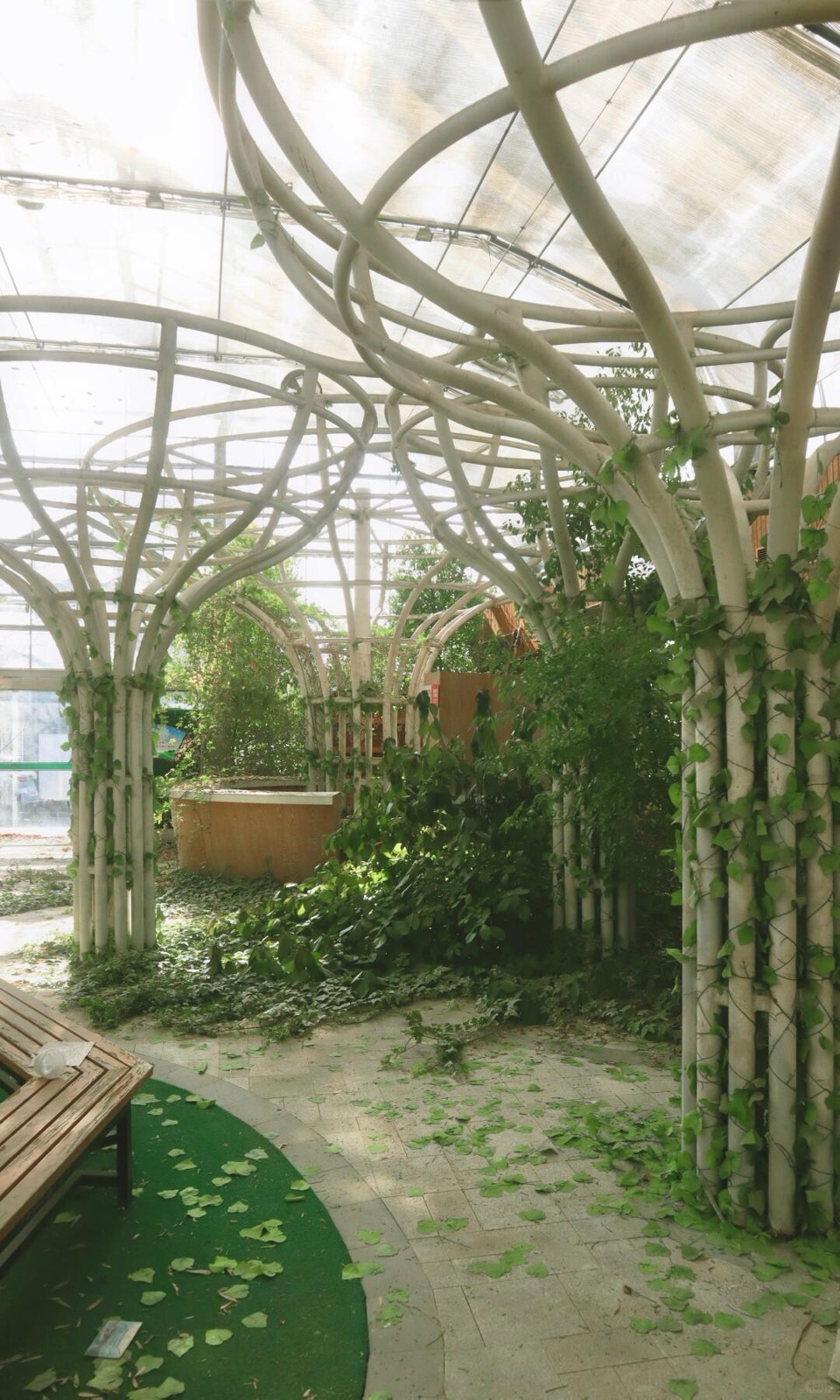 绿植吞噬的废弃温室，像闯进一场醒不来的梦 图6