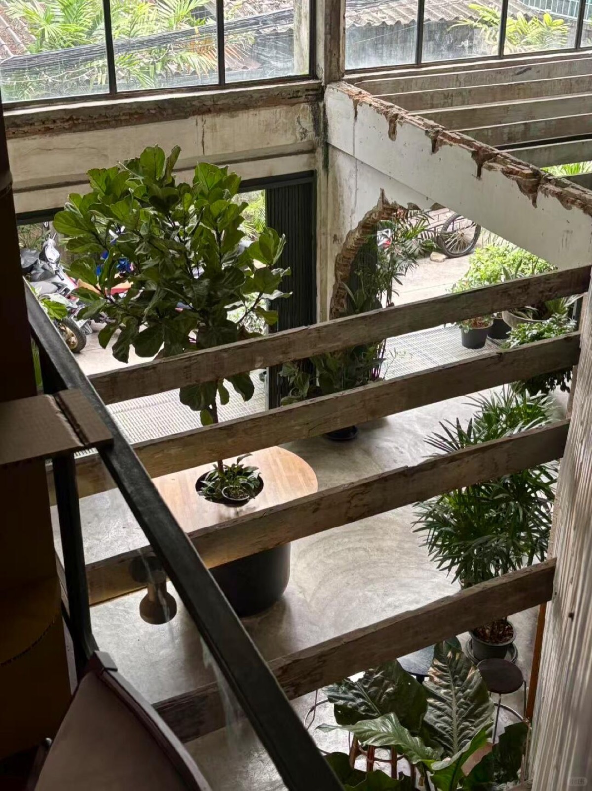 ＃曼谷绿色角落·绿植人天堂 图5