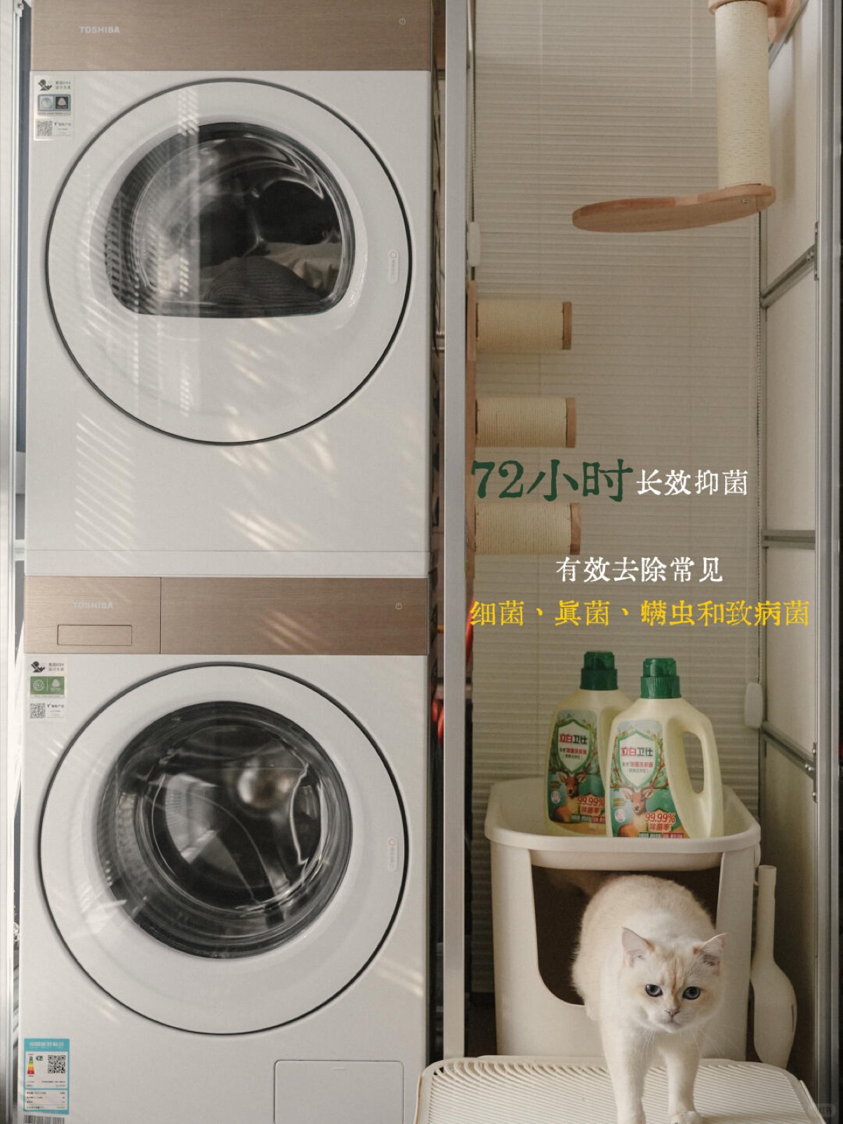 养了三猫一狗后，我对“安全”有了新理解！ 图7