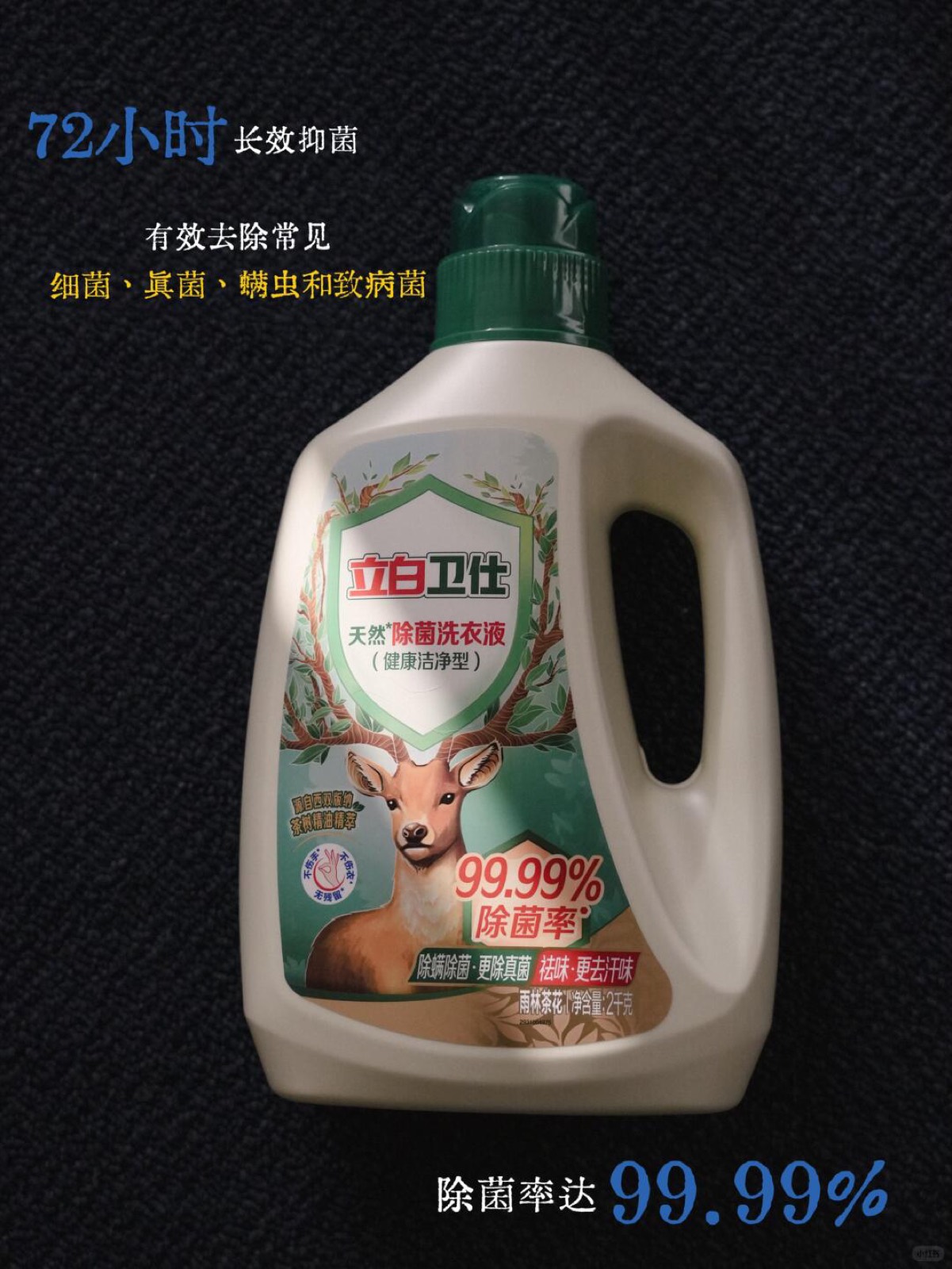 养了三猫一狗后，我对“安全”有了新理解！ 图11
