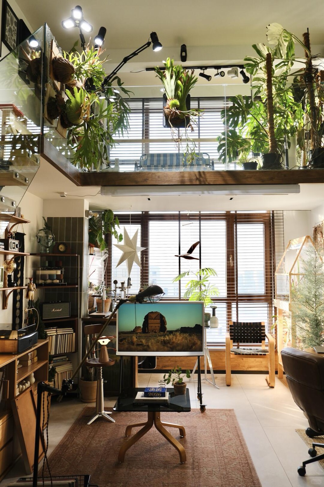 入住四年，我把家打造成了室内植物园 图1