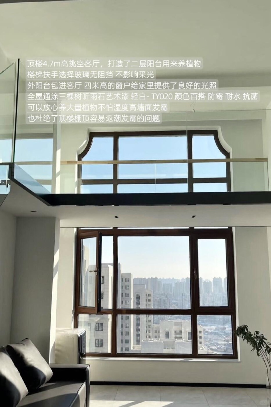 入住四年，我把家打造成了室内植物园 图2