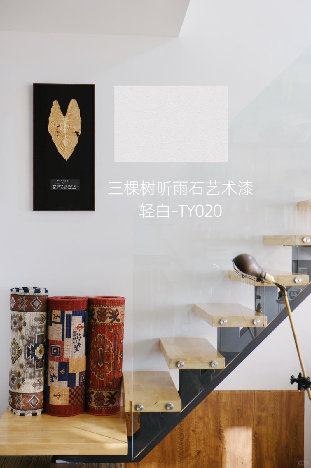入住四年，我把家打造成了室内植物园 图5