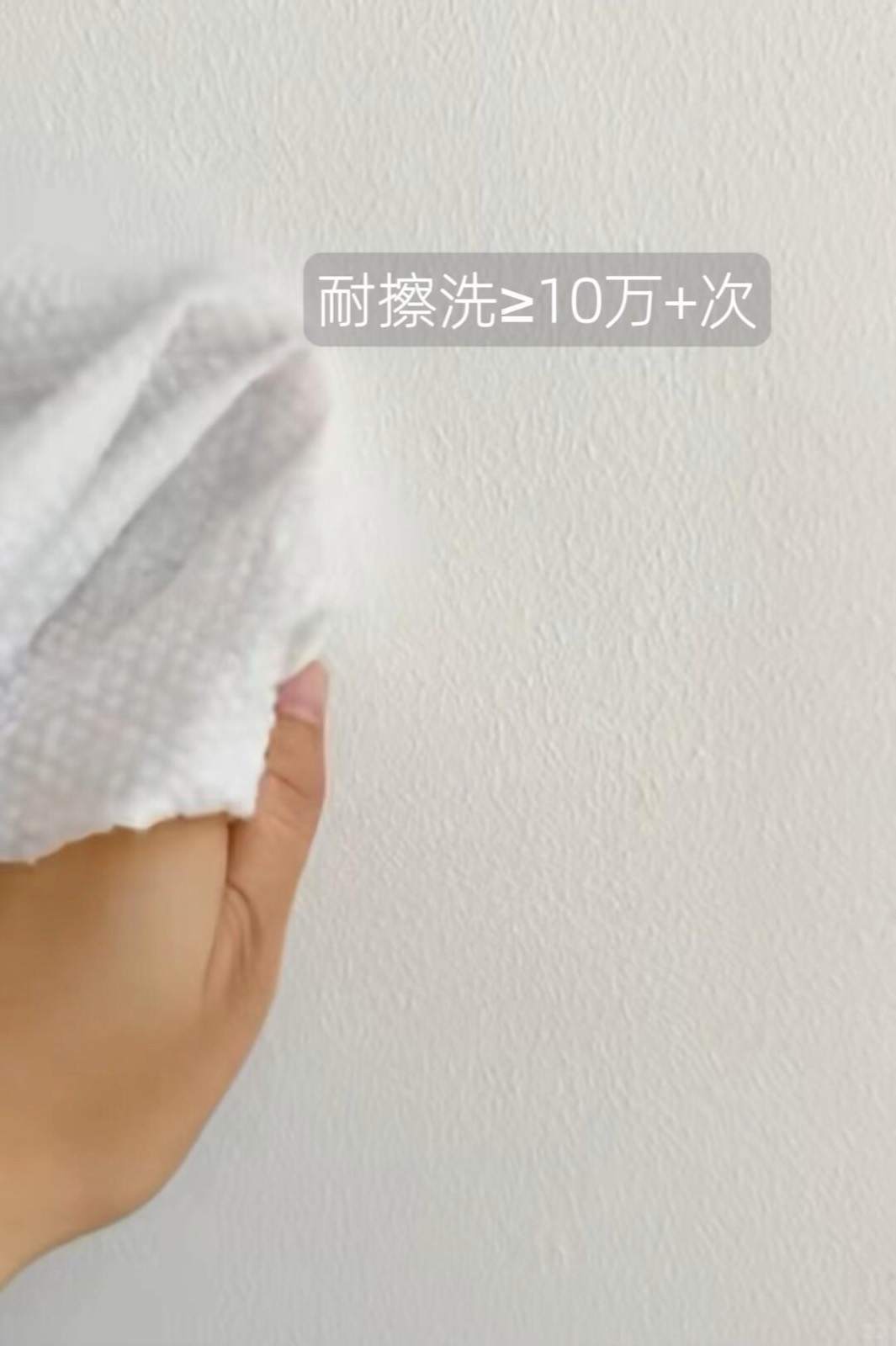 入住四年，我把家打造成了室内植物园 图13